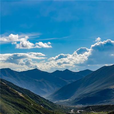 西藏警方再通报“旅游团领队打人事件”：违法嫌疑人均已到案接受调查